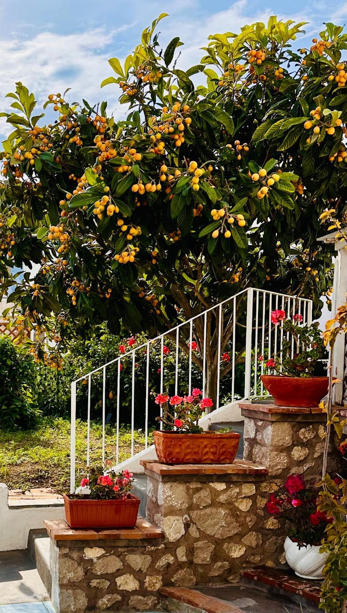 Capri Joy Βίλα Εξωτερικό φωτογραφία